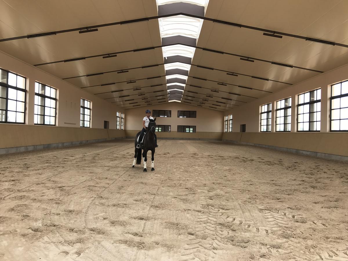 Vmg Horse Ranch (adults Only) Feriegård