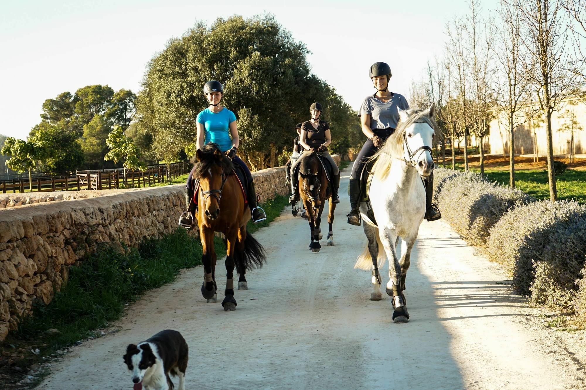 Vmg Horse Ranch (adults Only) Feriegård Llucmajor (Mallorca)
