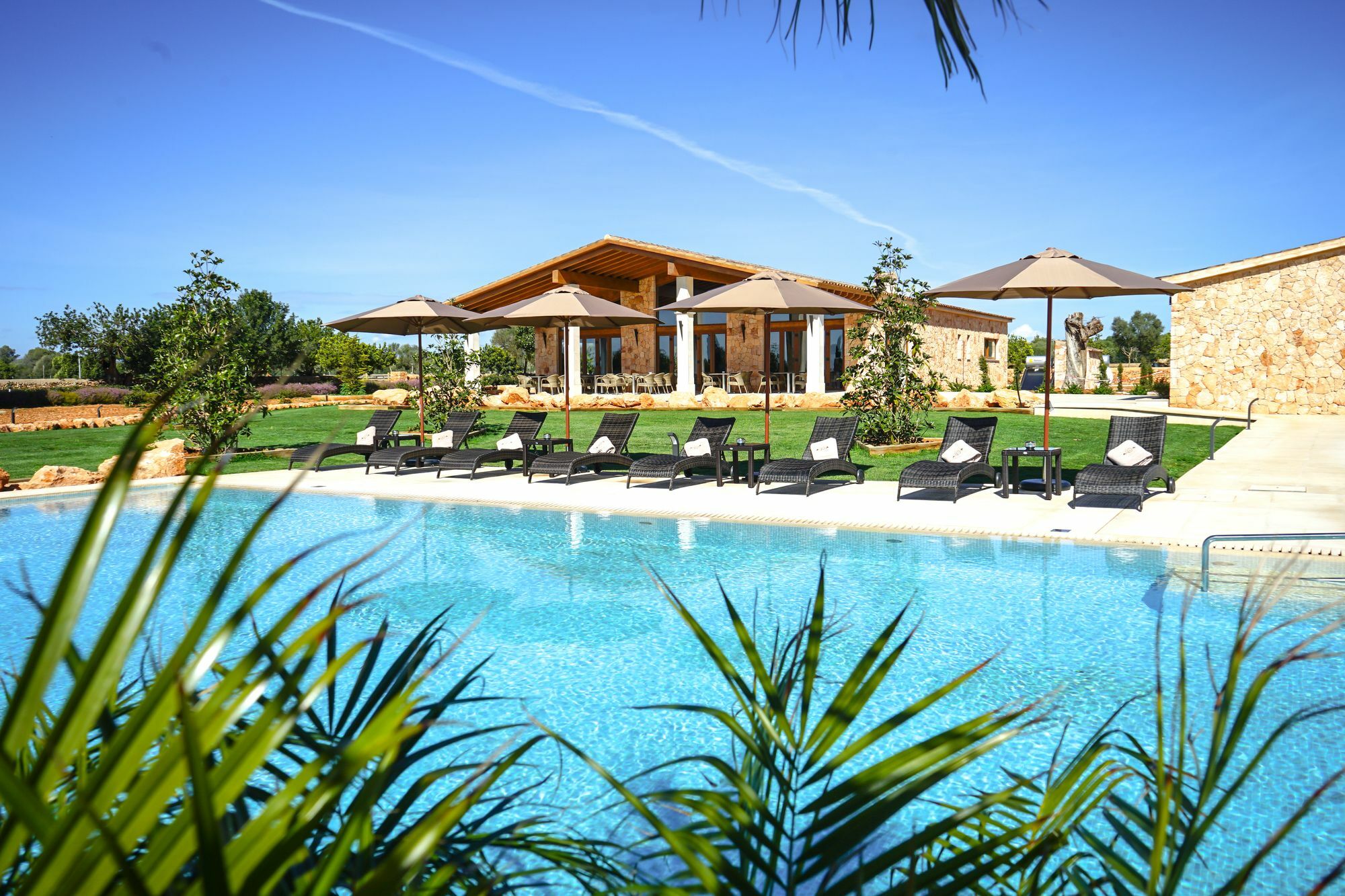 Vmg Horse Ranch (adults Only) *