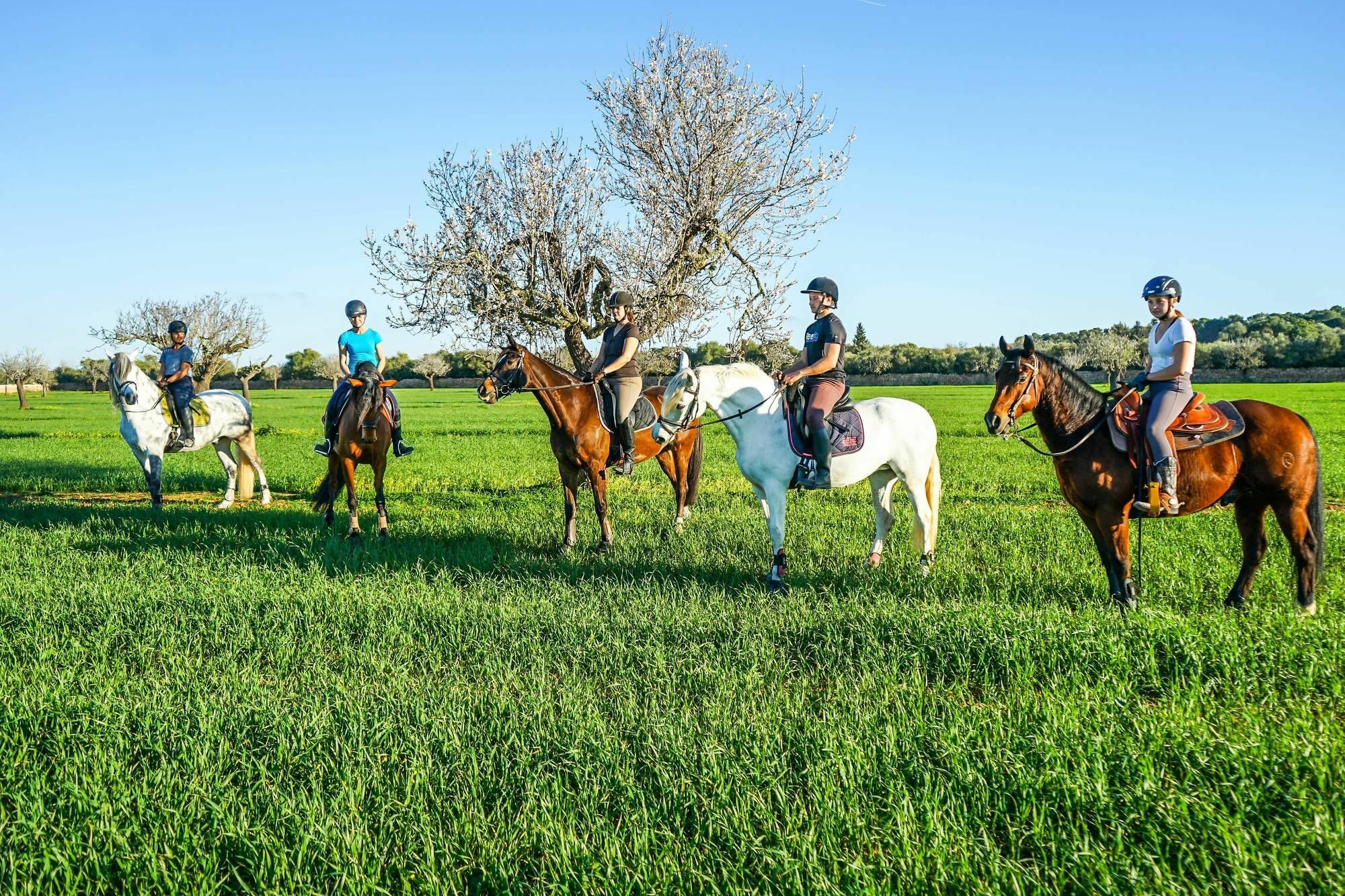 Vmg Horse Ranch (adults Only) * Llucmajor (Mallorca)